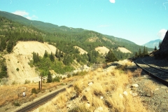 Looking north, the connecting track is on the right. CP track to the left and Vivian appreciating the flora and fauna.