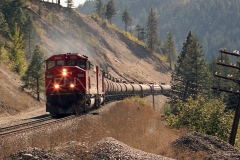 Just south of Cisco an eastbound petroleum train approaches .